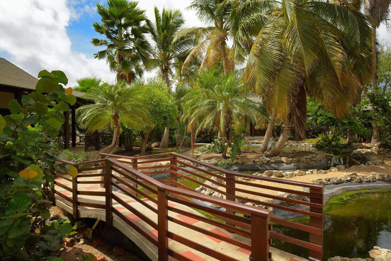 Captain Don'S Habitat Playa Eksteriør billede